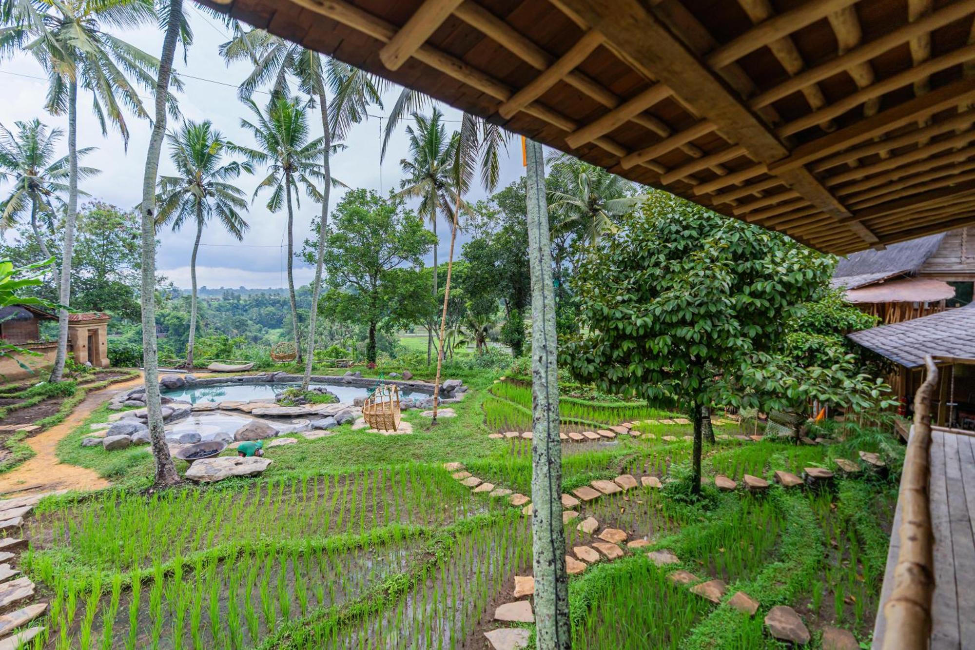 Bambu Indah Resort Ubud Exterior foto
